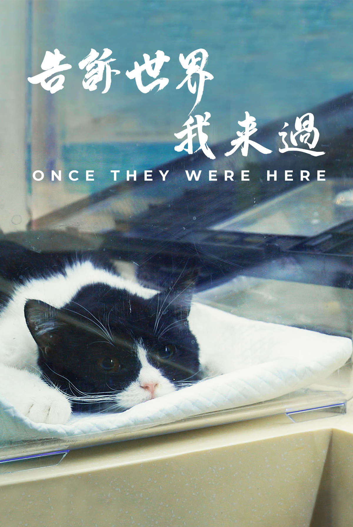 告訴世界我來過