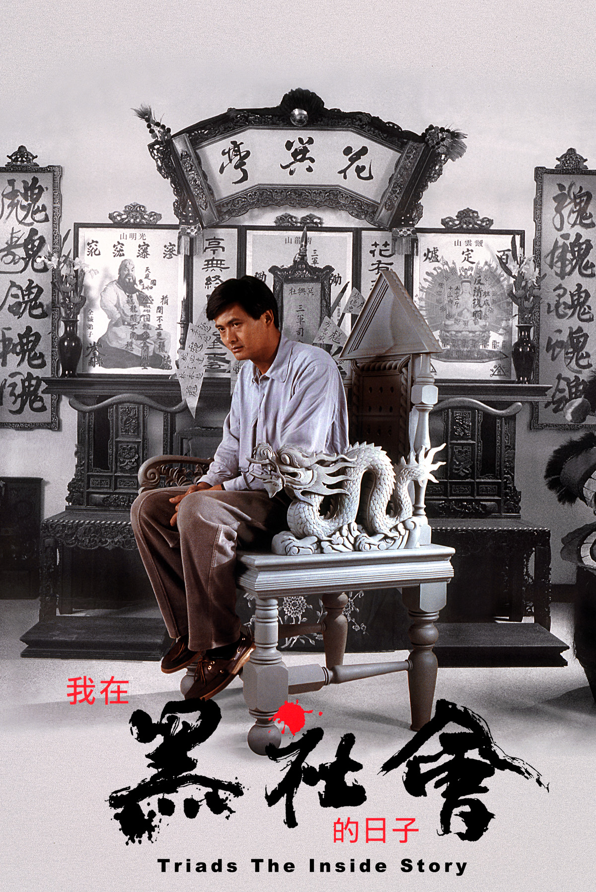 我在黑社會的日子