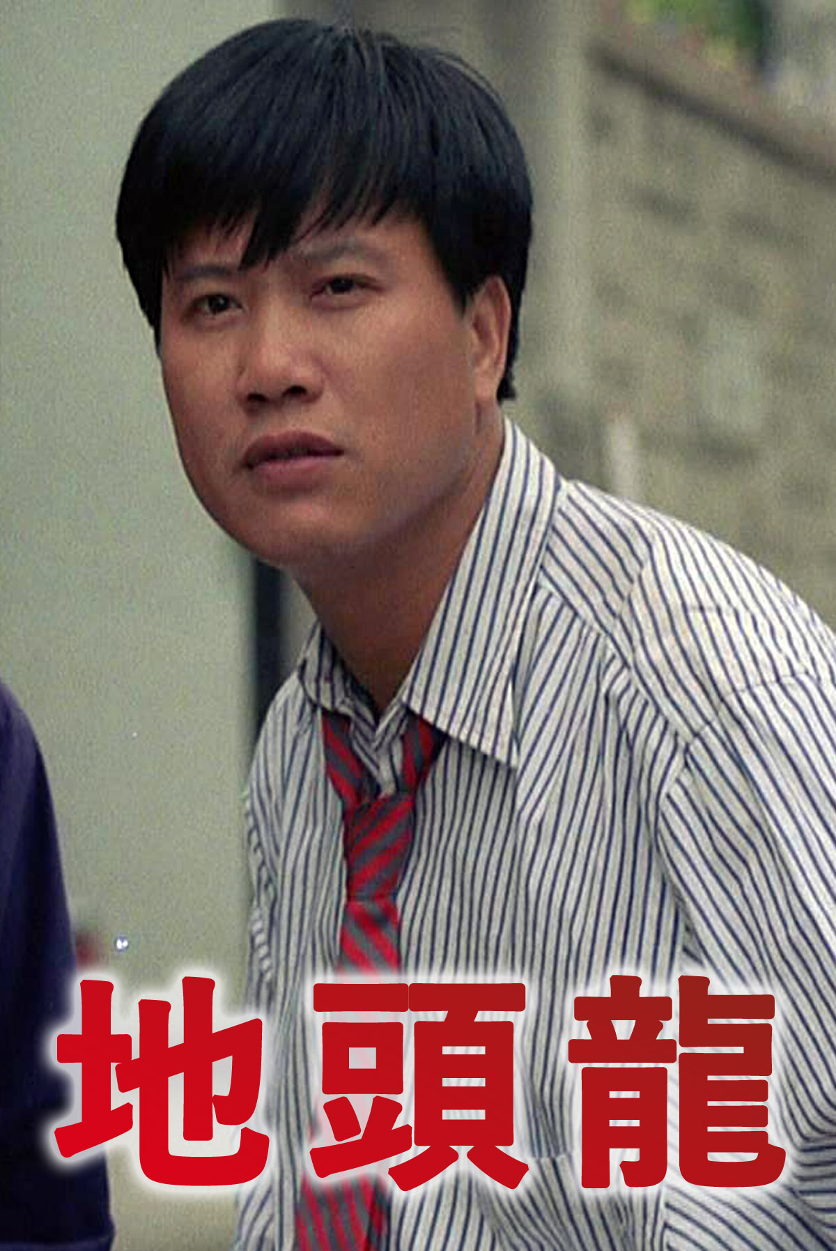The Dragon Fighter