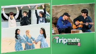 Tripmate, Who Are You?