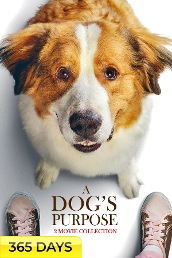 A Dog's Purpose 2-Movie Collection (365 Days Viewing)