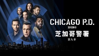 芝加哥警署 第9季