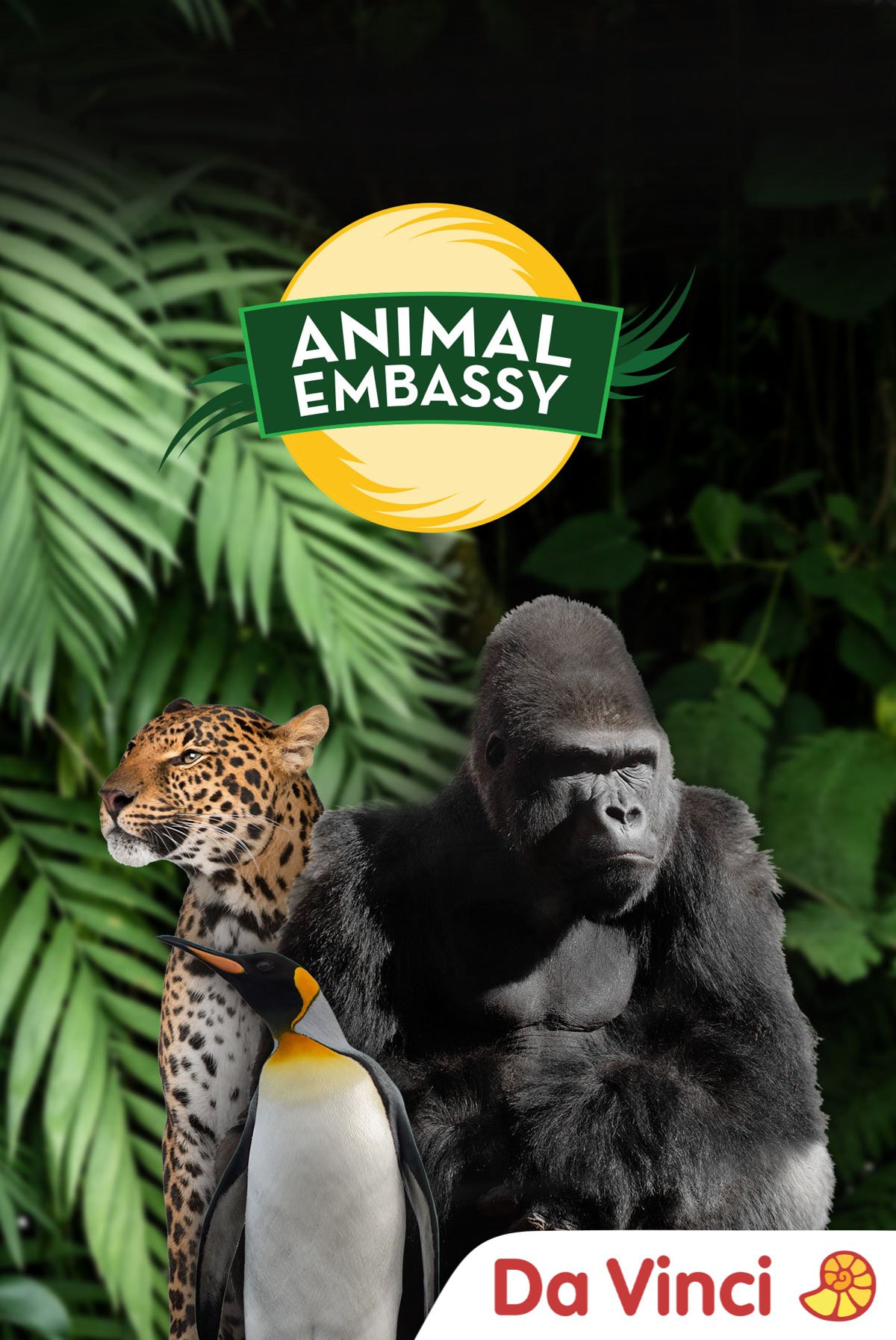 Now Player - Animal Embassy