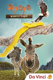 Siyaya: Wildest Cape