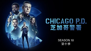 芝加哥警署 第10季