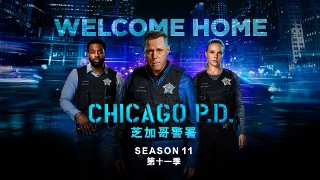 芝加哥警署 第11季