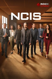 NCIS S21