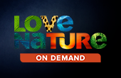 Love Nature On Demand