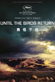 Until The Birds Return